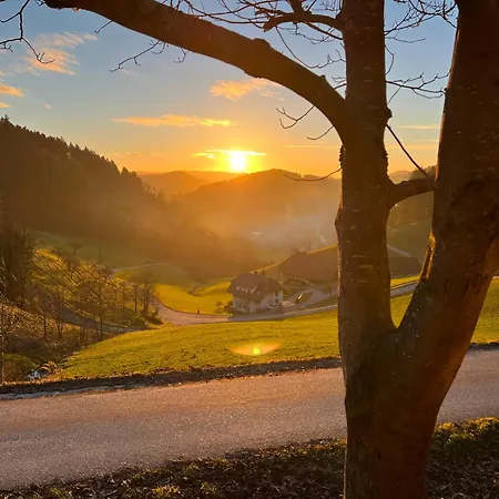 Appartement Mit Whirlpool, Infrarot-sauna & Schwarzwaldblick