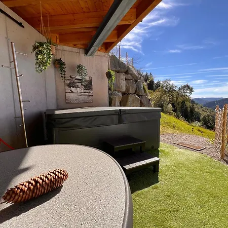 Mit Whirlpool, Infrarot-sauna & Schwarzwaldblick * Hausach