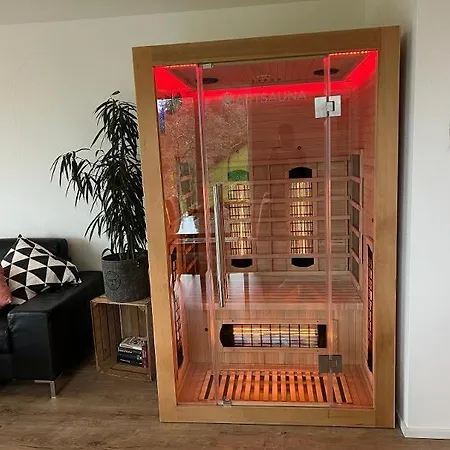 Appartement Mit Whirlpool, Infrarot-sauna & Schwarzwaldblick Hausach