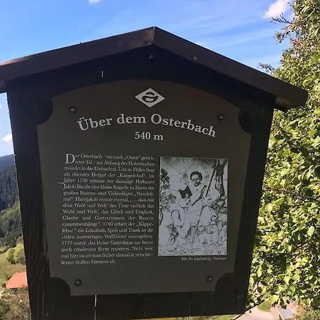 Appartement Mit Whirlpool, Infrarot-sauna & Schwarzwaldblick *