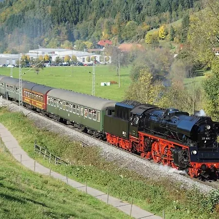 Appartement Mit Whirlpool, Infrarot-sauna & Schwarzwaldblick *