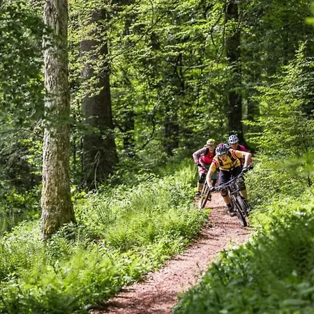 Mit Whirlpool, Infrarot-sauna & Schwarzwaldblick Hausach