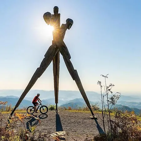 Appartement Mit Whirlpool, Infrarot-sauna & Schwarzwaldblick *