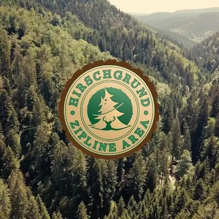 Mit Whirlpool, Infrarot-sauna & Schwarzwaldblick Appartement Hausach