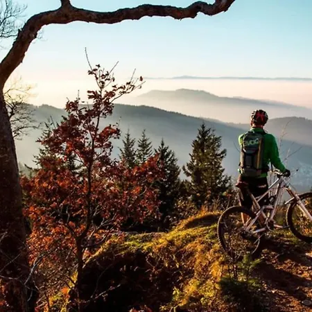 Mit Whirlpool, Infrarot-sauna & Schwarzwaldblick *