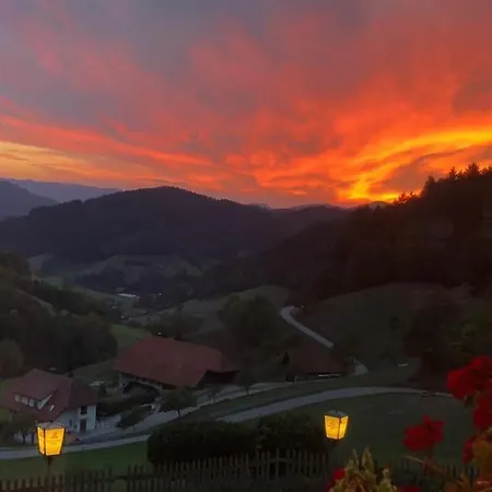 Mit Whirlpool, Infrarot-sauna & Schwarzwaldblick * Hausach