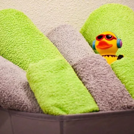 Appartement Mit Whirlpool, Infrarot-sauna & Schwarzwaldblick Hausach