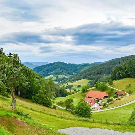 Appartement Mit Whirlpool, Infrarot-sauna & Schwarzwaldblick *
