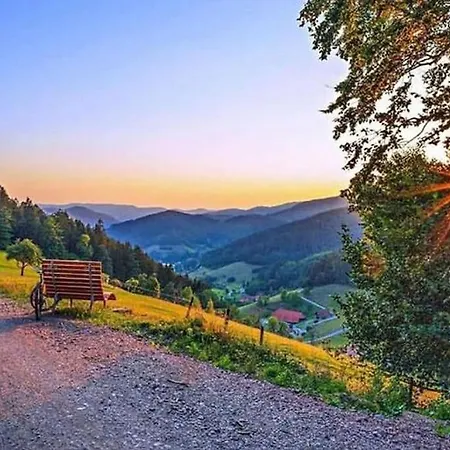 Mit Whirlpool, Infrarot-sauna & Schwarzwaldblick * Hausach