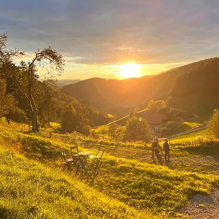 Mit Whirlpool, Infrarot-sauna & Schwarzwaldblick Appartement Hausach